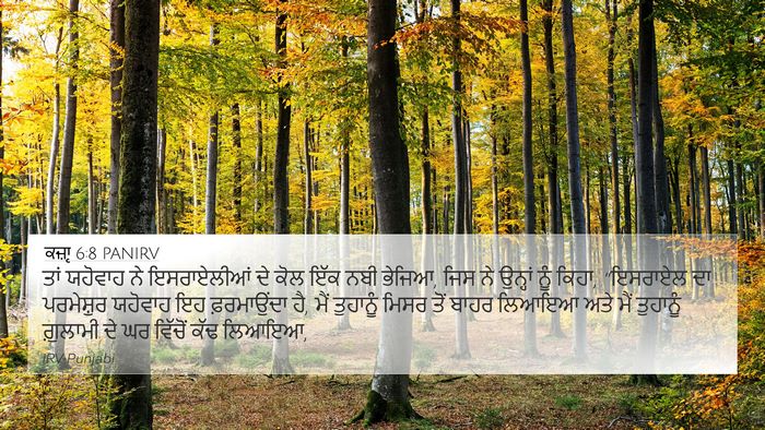 ਕਜ਼ਾૃ 6:8 PANIRV Bible Verse Image