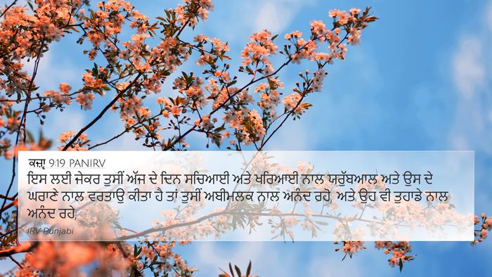 ਕਜ਼ਾૃ 9:19 PANIRV Bible Verse Image