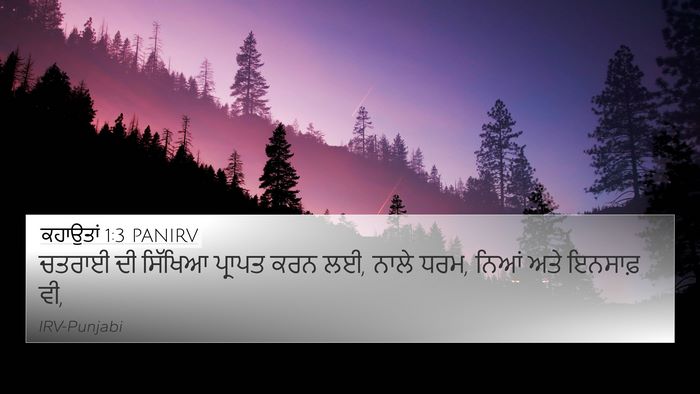 ਕਹਾਉਤਾਂ 1:3 PANIRV Bible Verse Image