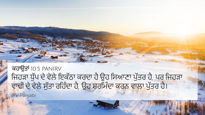 ਕਹਾਉਤਾਂ 10:5 PANIRV Bible Verse Image