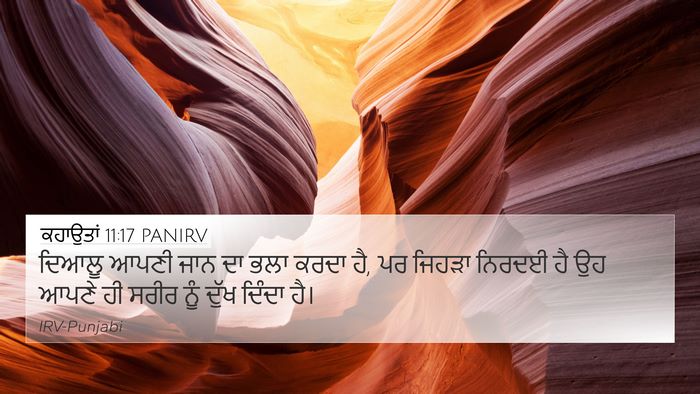 ਕਹਾਉਤਾਂ 11:17 PANIRV Bible Verse Image