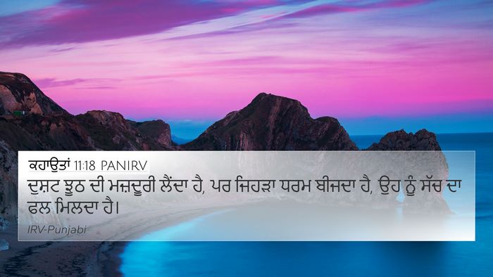 ਕਹਾਉਤਾਂ 11:18 PANIRV Bible Verse Image
