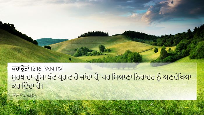 ਕਹਾਉਤਾਂ 12:16 PANIRV Bible Verse Image