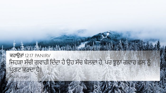 ਕਹਾਉਤਾਂ 12:17 PANIRV Bible Verse Image
