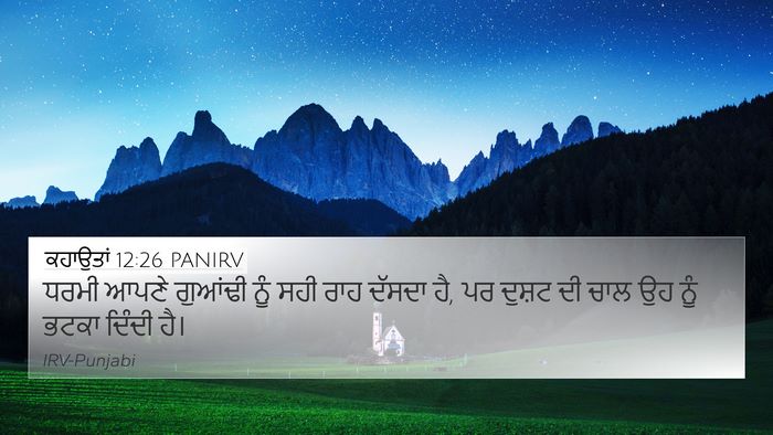 ਕਹਾਉਤਾਂ 12:26 PANIRV Bible Verse Image