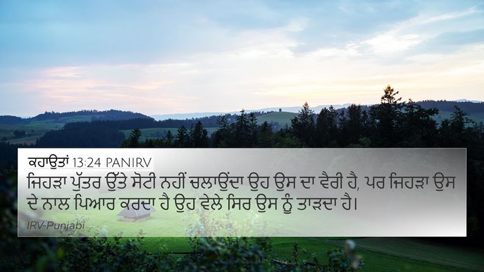 ਕਹਾਉਤਾਂ 13:24 PANIRV Bible Verse Image