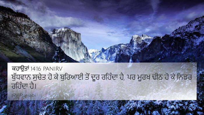 ਕਹਾਉਤਾਂ 14:16 PANIRV Bible Verse Image