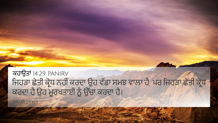 ਕਹਾਉਤਾਂ 14:29 PANIRV Bible Verse Image