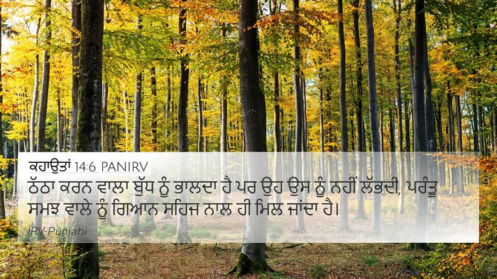 ਕਹਾਉਤਾਂ 14:6 PANIRV Bible Verse Image