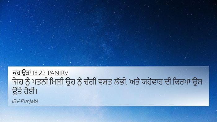 ਕਹਾਉਤਾਂ 18:22 PANIRV Bible Verse Image