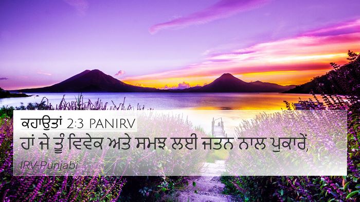 ਕਹਾਉਤਾਂ 2:3 PANIRV Bible Verse Image