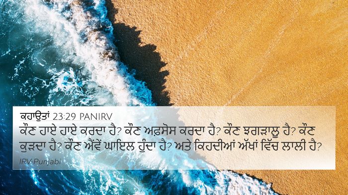 ਕਹਾਉਤਾਂ 23:29 PANIRV Bible Verse Image