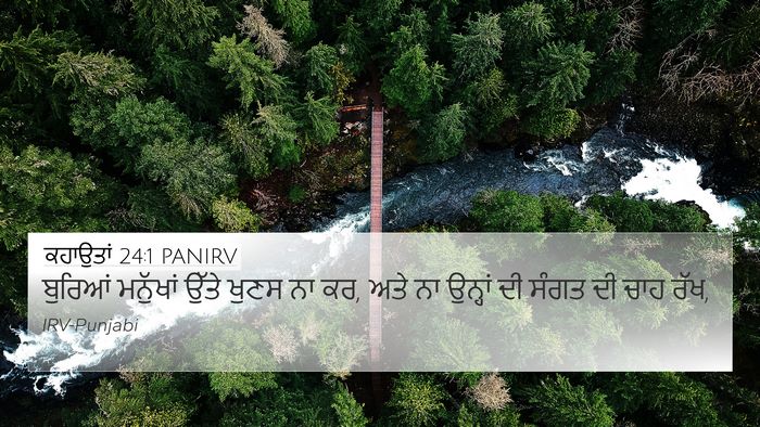ਕਹਾਉਤਾਂ 24:1 PANIRV Bible Verse Image