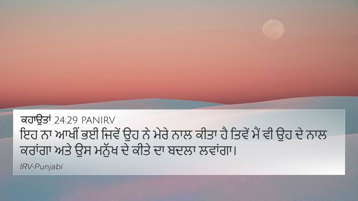 ਕਹਾਉਤਾਂ 24:29 PANIRV Bible Verse Image