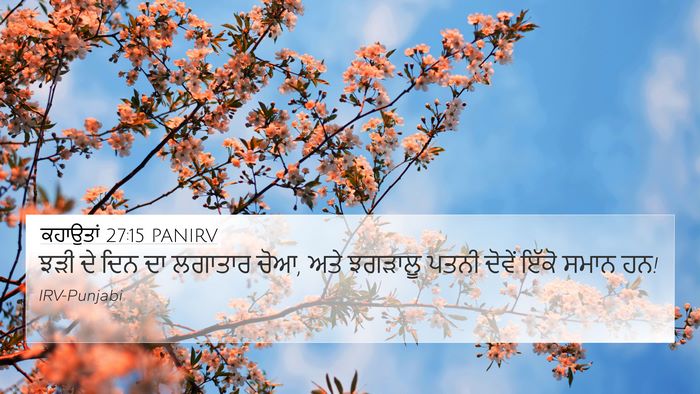 ਕਹਾਉਤਾਂ 27:15 PANIRV Bible Verse Image