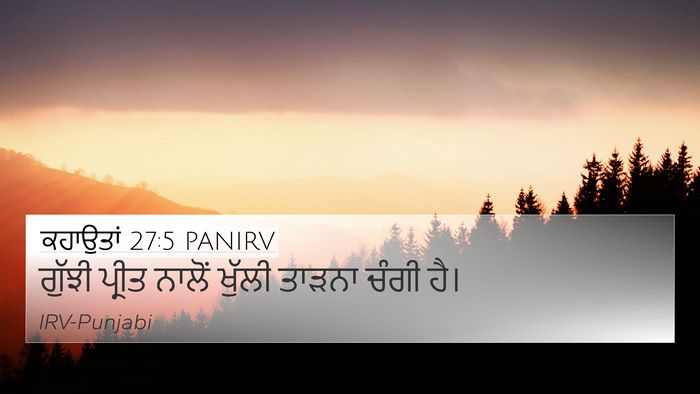 ਕਹਾਉਤਾਂ 27:5 PANIRV Bible Verse Image