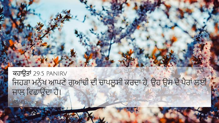 ਕਹਾਉਤਾਂ 29:5 PANIRV Bible Verse Image