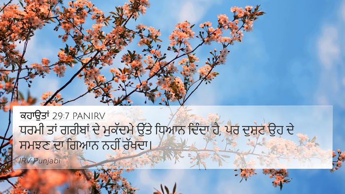 ਕਹਾਉਤਾਂ 29:7 PANIRV Bible Verse Image