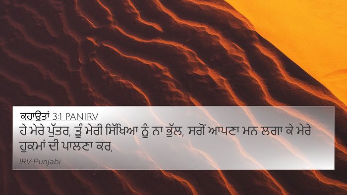 ਕਹਾਉਤਾਂ 3:1 PANIRV Bible Verse Image