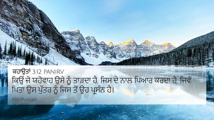 ਕਹਾਉਤਾਂ 3:12 PANIRV Bible Verse Image