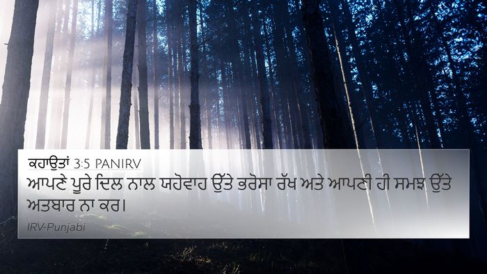 ਕਹਾਉਤਾਂ 3:5 PANIRV Bible Verse Image