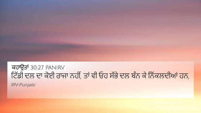 ਕਹਾਉਤਾਂ 30:27 PANIRV Bible Verse Image