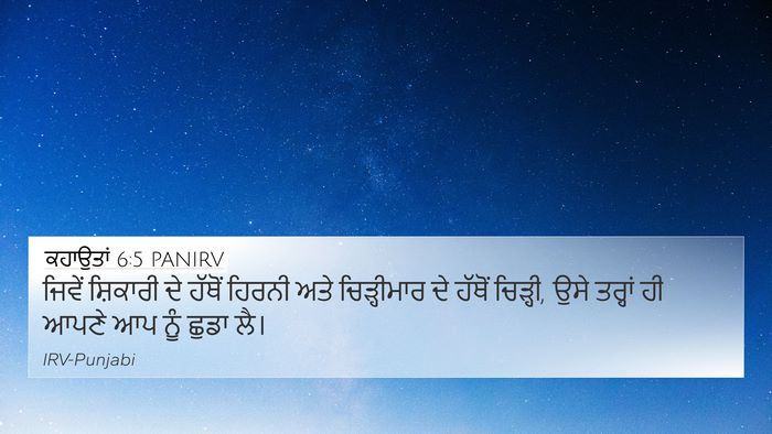 ਕਹਾਉਤਾਂ 6:5 PANIRV Bible Verse Image