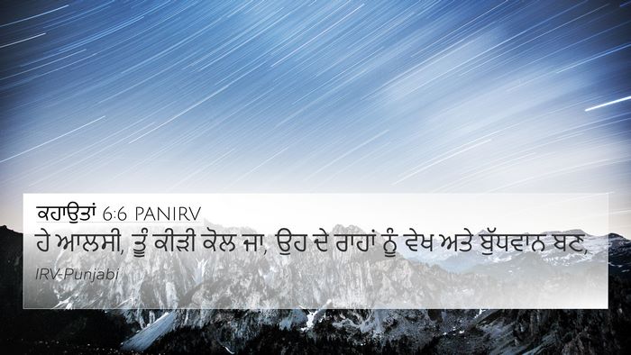 ਕਹਾਉਤਾਂ 6:6 PANIRV Bible Verse Image