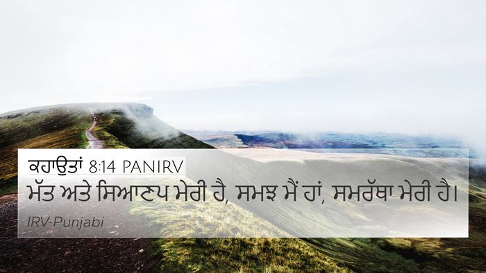 ਕਹਾਉਤਾਂ 8:14 PANIRV Bible Verse Image