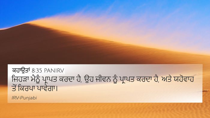 ਕਹਾਉਤਾਂ 8:35 PANIRV Bible Verse Image