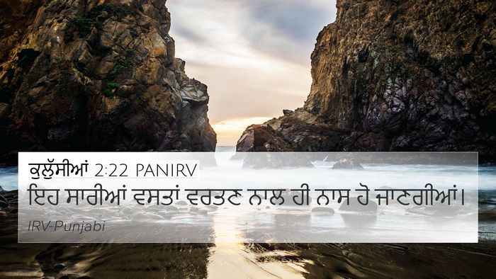 ਕੁਲੁੱਸੀਆਂ 2:22 PANIRV Bible Verse Image