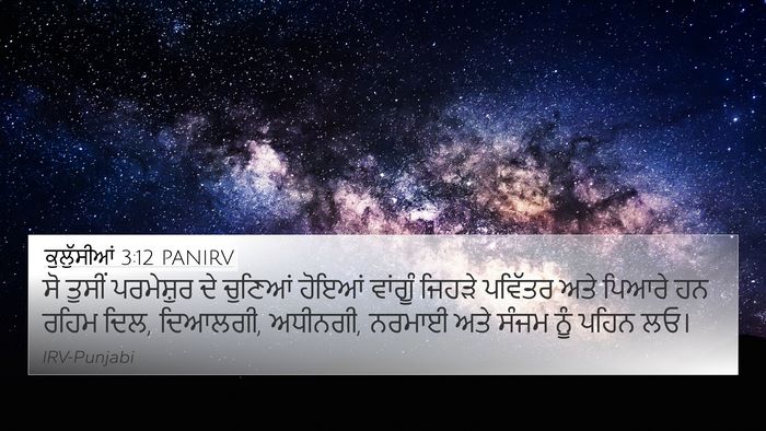 ਕੁਲੁੱਸੀਆਂ 3:12 PANIRV Bible Verse Image