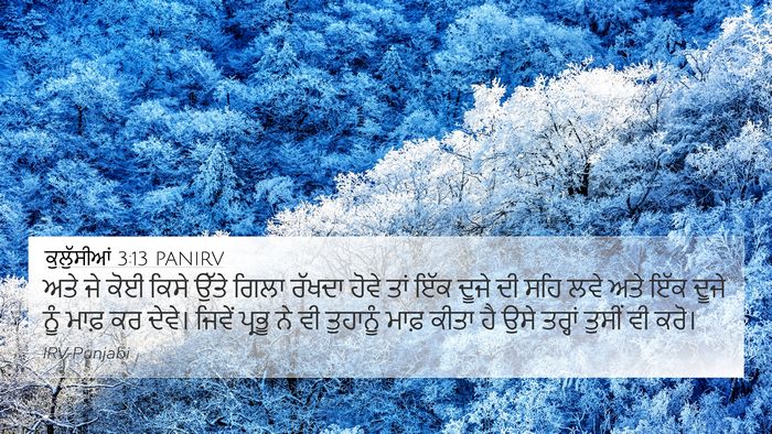 ਕੁਲੁੱਸੀਆਂ 3:13 PANIRV Bible Verse Image
