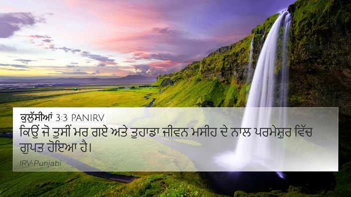 ਕੁਲੁੱਸੀਆਂ 3:3 PANIRV Bible Verse Image