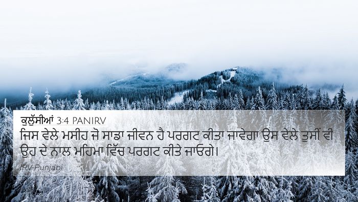 ਕੁਲੁੱਸੀਆਂ 3:4 PANIRV Bible Verse Image