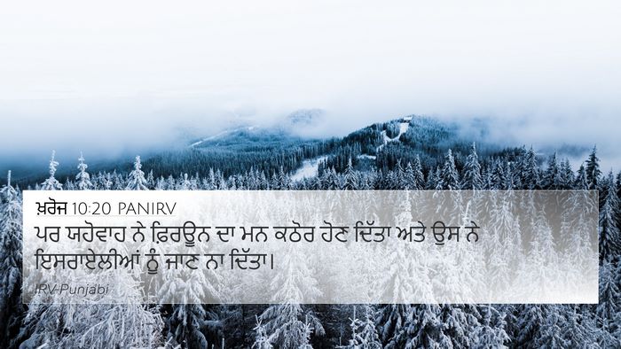 ਖ਼ਰੋਜ 10:20 PANIRV Bible Verse Image