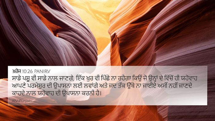 ਖ਼ਰੋਜ 10:26 PANIRV Bible Verse Image