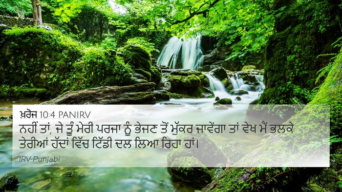 ਖ਼ਰੋਜ 10:4 PANIRV Bible Verse Image
