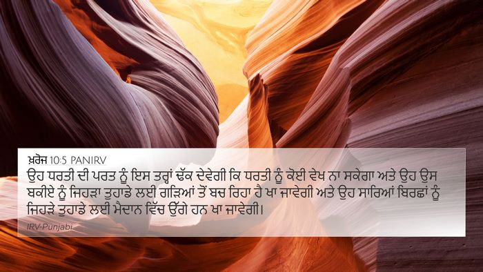 ਖ਼ਰੋਜ 10:5 PANIRV 4K Wallpaper - ਉਹ ਧਰਤੀ ਦੀ ਪਰਤ ਨੂੰ - 4K Wallpaper Bible Verse