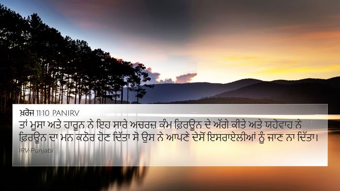 ਖ਼ਰੋਜ 11:10 PANIRV Bible Verse Image