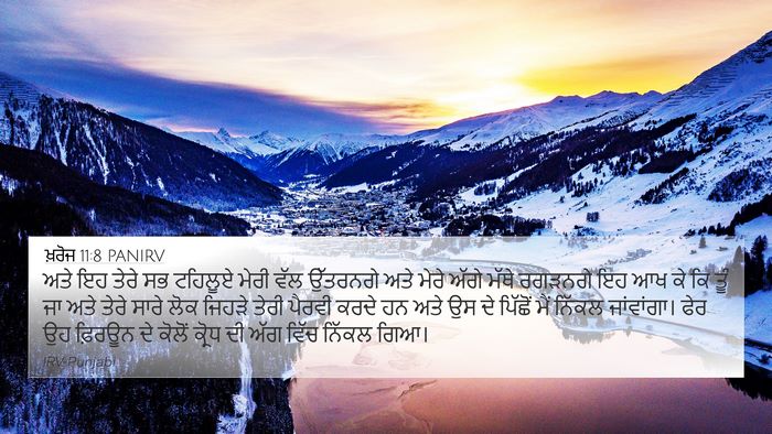 ਖ਼ਰੋਜ 11:8 PANIRV Bible Verse Image