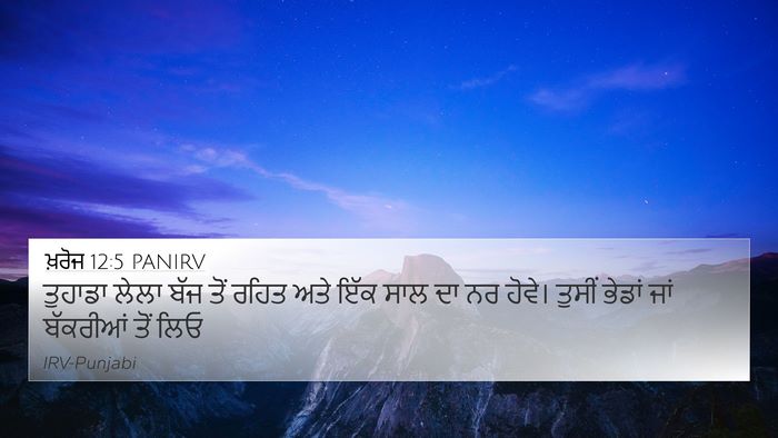 ਖ਼ਰੋਜ 12:5 PANIRV Bible Verse Image