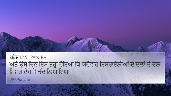ਖ਼ਰੋਜ 12:51 PANIRV Bible Verse Image
