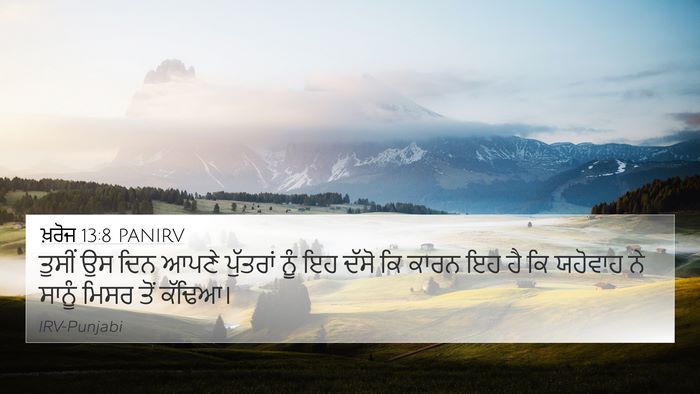 ਖ਼ਰੋਜ 13:8 PANIRV Bible Verse Image