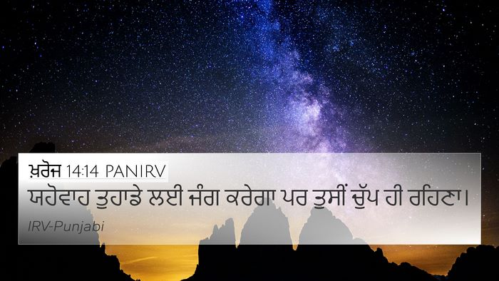 ਖ਼ਰੋਜ 14:14 PANIRV Bible Verse Image