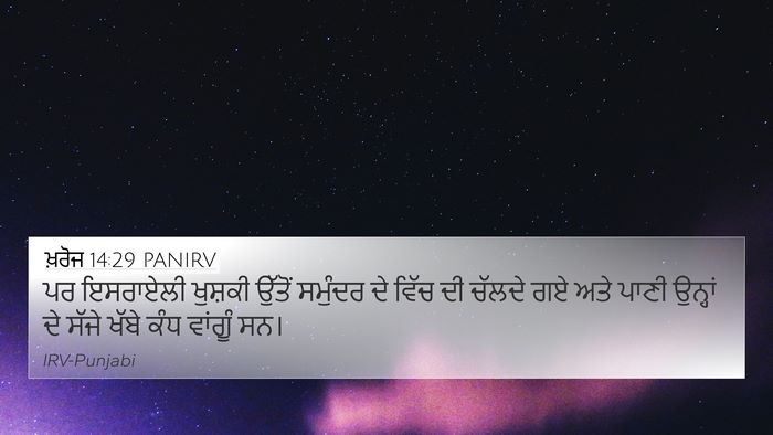 ਖ਼ਰੋਜ 14:29 PANIRV Bible Verse Image
