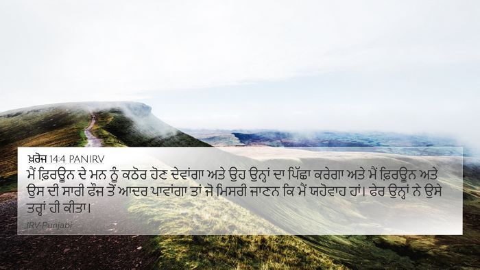 ਖ਼ਰੋਜ 14:4 PANIRV Bible Verse Image