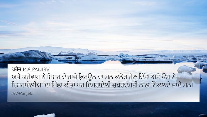 ਖ਼ਰੋਜ 14:8 PANIRV Bible Verse Image