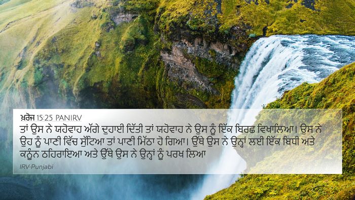 ਖ਼ਰੋਜ 15:25 PANIRV Bible Verse Image