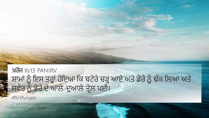 ਖ਼ਰੋਜ 16:13 PANIRV Bible Verse Image